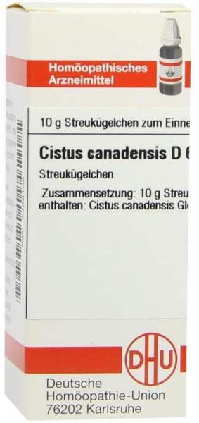 DHU Cistus canadensis D6 Globuli