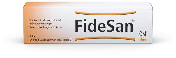 Fidesan Salbe 100 G Salbe