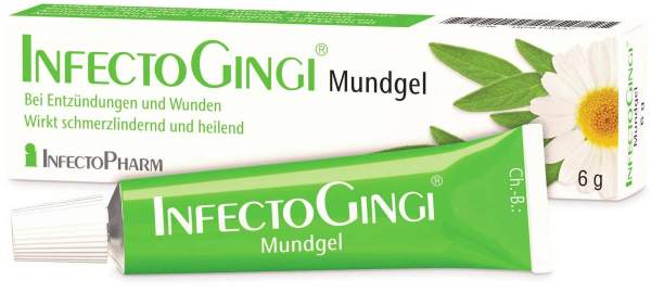 Infectogingi Mundgel 6 g Gel