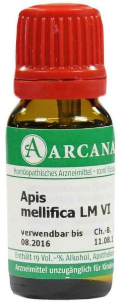 Apis Mellifica Lm 6 Dilution 10 ml