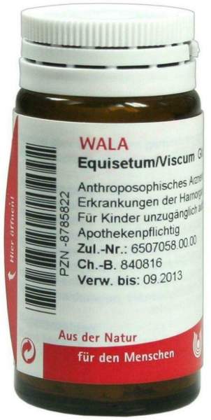 Wala Equisetum-Viscum 20 G Globuli