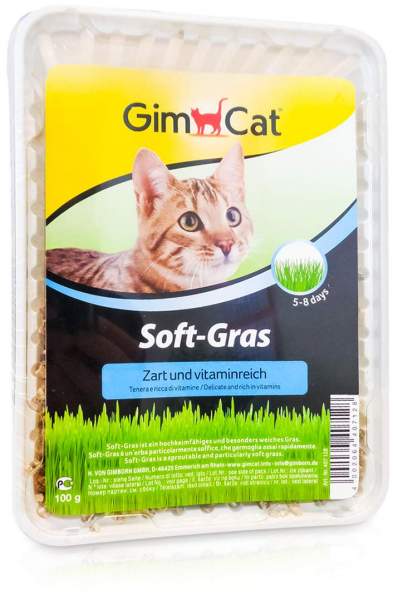 Gimpet Soft Gras Für Katzen 100 G
