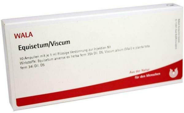 Wala Equisetum Viscum 10 X 1 ml Ampullen